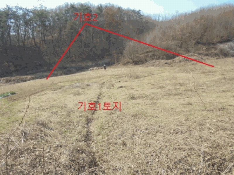 2025타경5283 충청북도 제천시 봉양읍 장평리 637 농지 경매 이미지