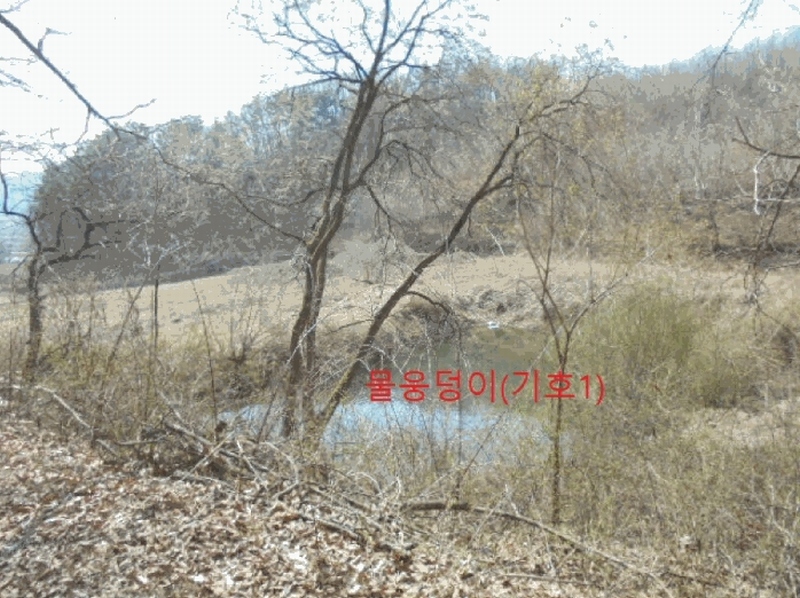 2025타경5283 충청북도 제천시 봉양읍 장평리 637 농지 경매 이미지