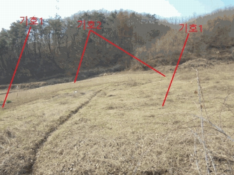 2025타경5283 충청북도 제천시 봉양읍 장평리 637 농지 경매 이미지