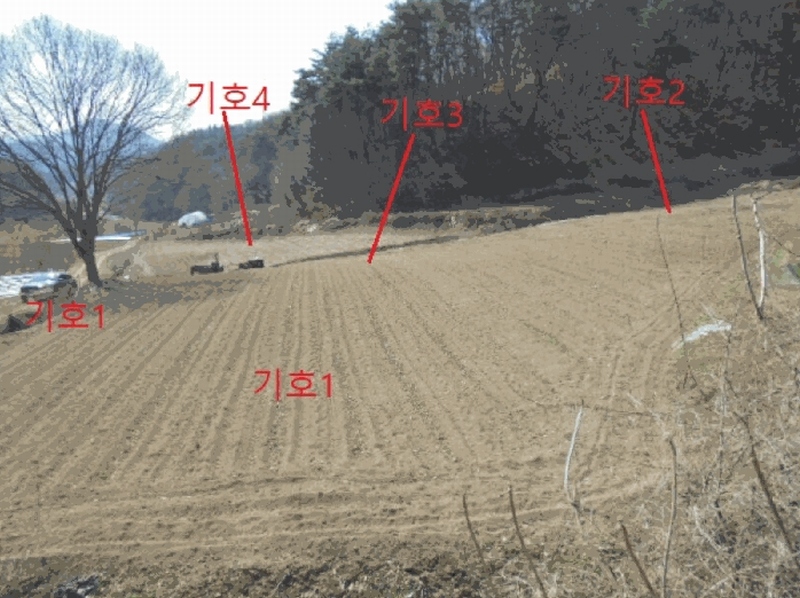 2025타경5283 충청북도 제천시 봉양읍 장평리 637 농지 경매 이미지