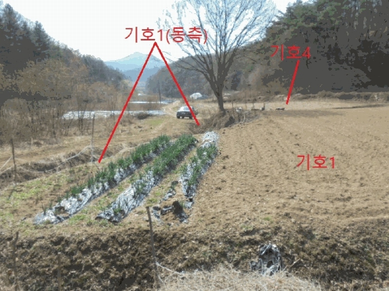 2025타경5283 충청북도 제천시 봉양읍 장평리 637 농지 경매 이미지