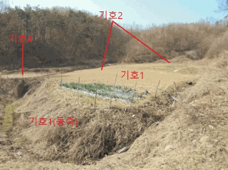 2025타경5283 충청북도 제천시 봉양읍 장평리 637 농지 경매 이미지