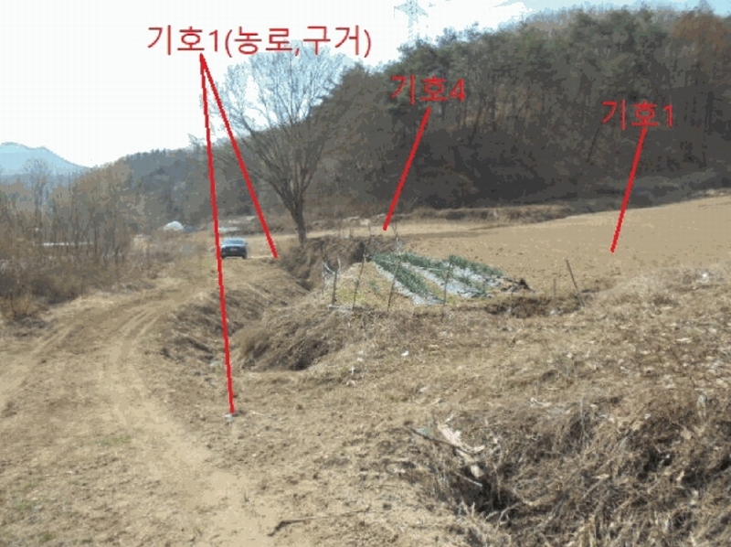 2025타경5283 충청북도 제천시 봉양읍 장평리 637 농지 경매 이미지