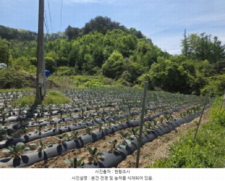 2025타경5301 충청북도 제천시 금성면 활산리 129 농지 경매 이미지