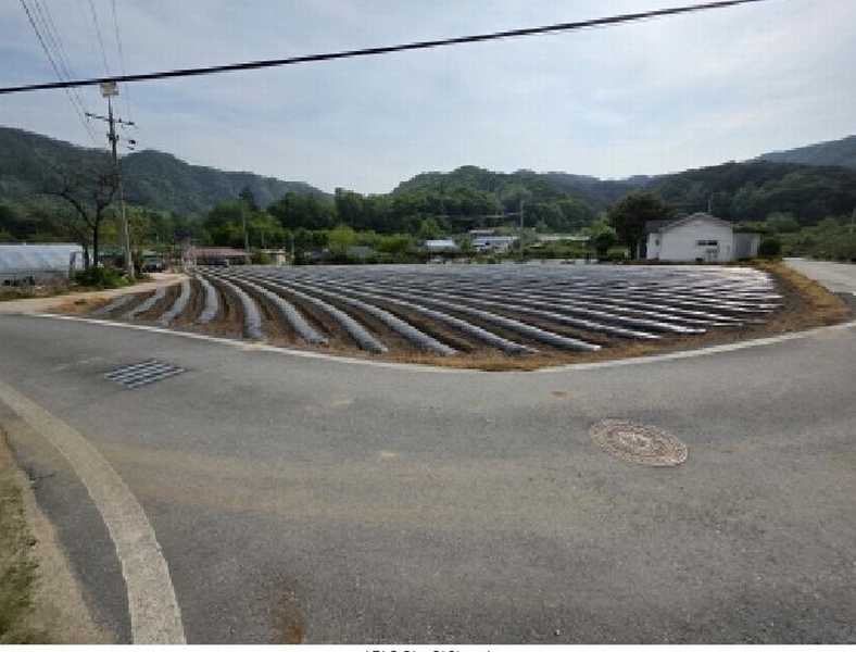 2025타경5311 충청북도 제천시 금성면 사곡리 286 농지 경매 이미지