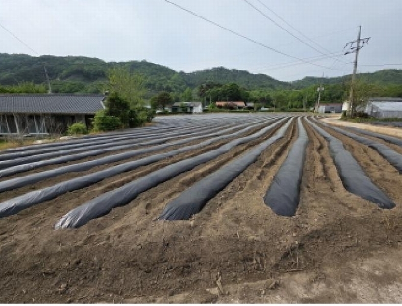 2025타경5311 충청북도 제천시 금성면 사곡리 286 농지 경매 이미지