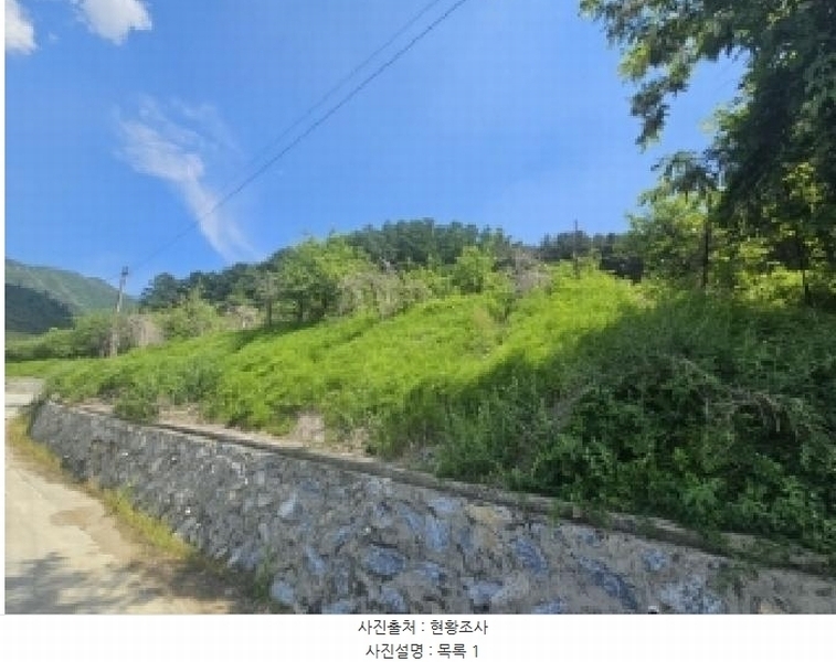 2025타경5317 충청북도 단양군 대강면 신구리 62-1 농지 경매 이미지