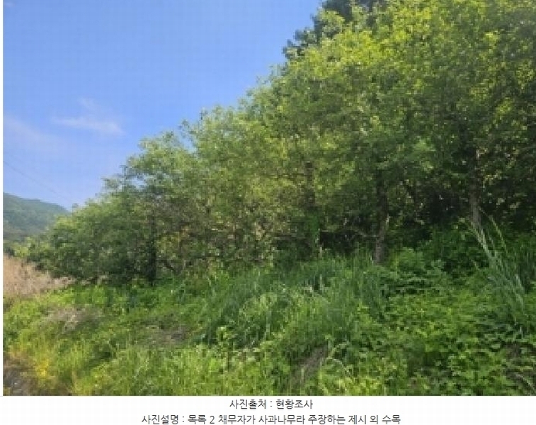 2025타경5317 충청북도 단양군 대강면 신구리 62-1 농지 경매 이미지