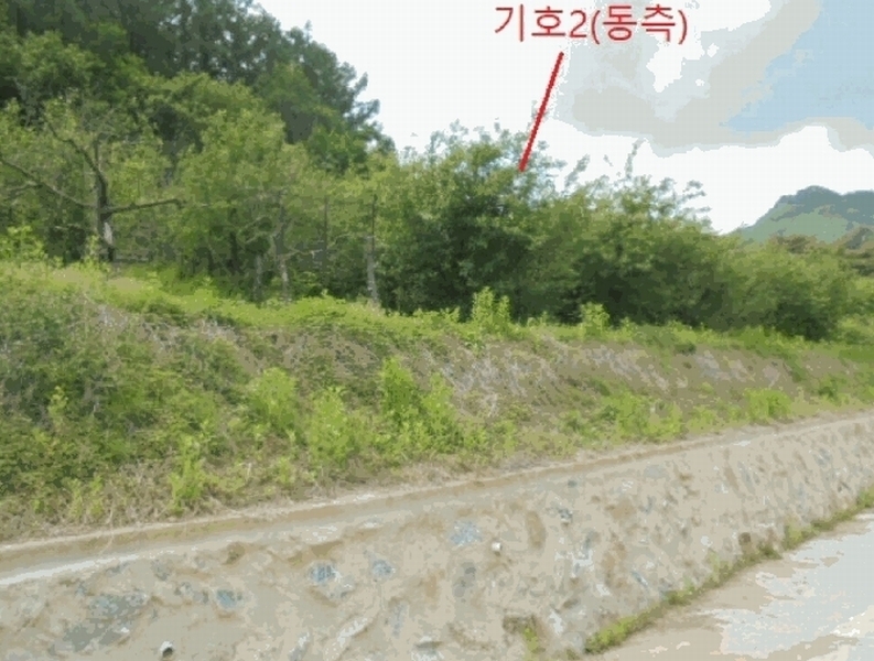 2025타경5317 충청북도 단양군 대강면 신구리 62-1 농지 경매 이미지