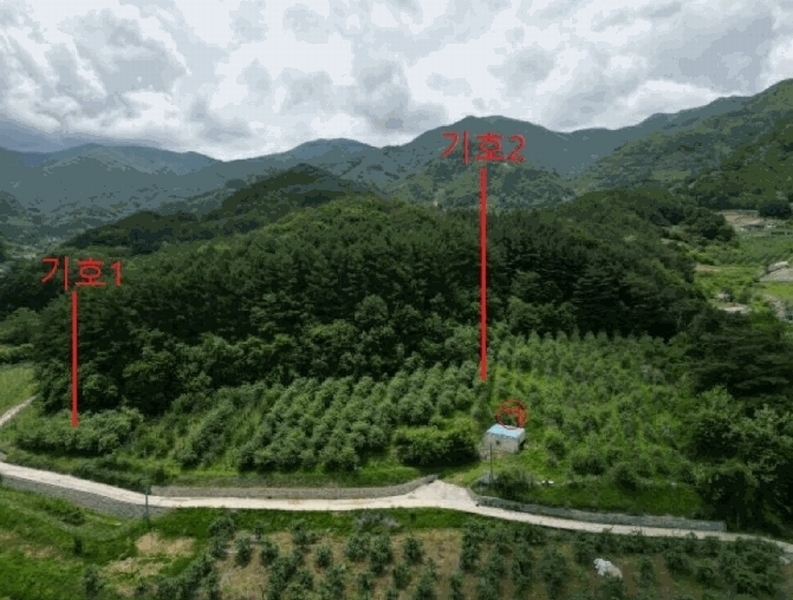 2025타경5317 충청북도 단양군 대강면 신구리 62-1 농지 경매 이미지