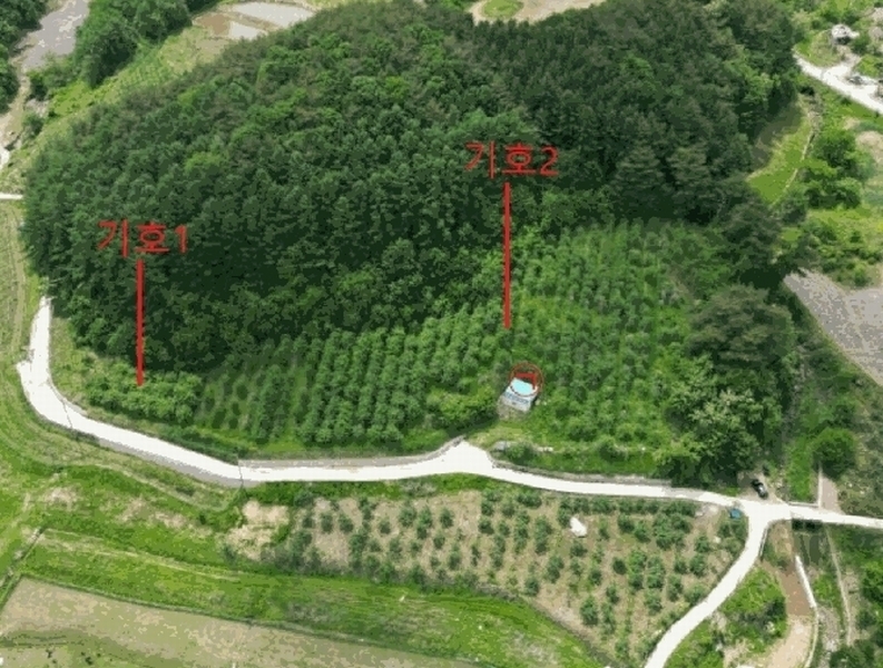 2025타경5317 충청북도 단양군 대강면 신구리 62-1 농지 경매 이미지