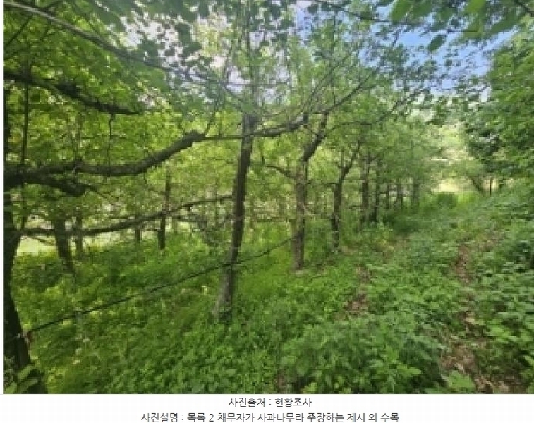 2025타경5317 충청북도 단양군 대강면 신구리 62-1 농지 경매 이미지