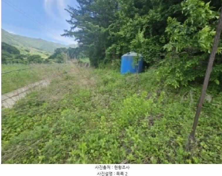 2025타경5317 충청북도 단양군 대강면 신구리 62-1 농지 경매 이미지