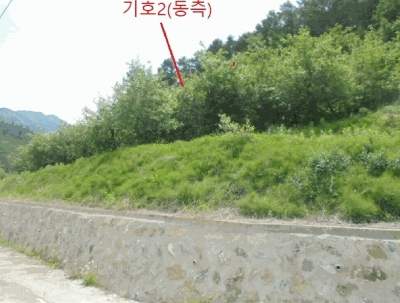 2025타경5317 충청북도 단양군 대강면 신구리 62-1 농지 경매 이미지