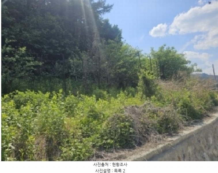 2025타경5317 충청북도 단양군 대강면 신구리 62-1 농지 경매 이미지