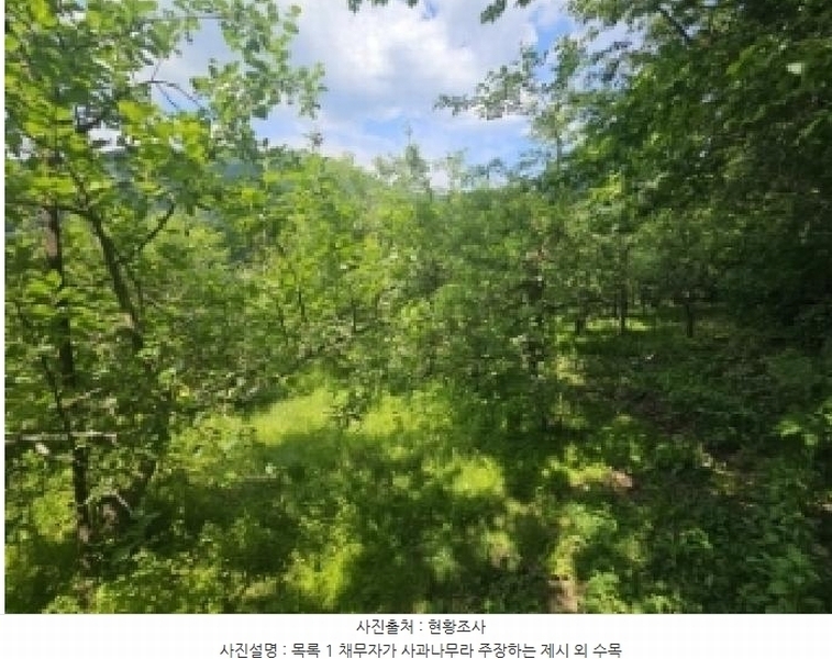 2025타경5317 충청북도 단양군 대강면 신구리 62-1 농지 경매 이미지