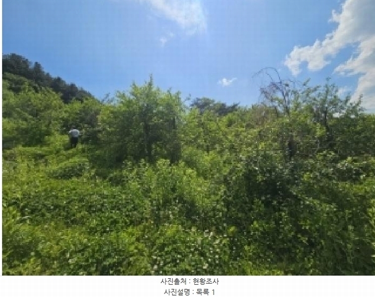 2025타경5317 충청북도 단양군 대강면 신구리 62-1 농지 경매 이미지