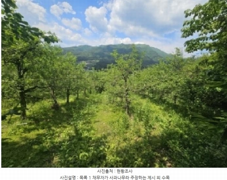 2025타경5317 충청북도 단양군 대강면 신구리 62-1 농지 경매 이미지