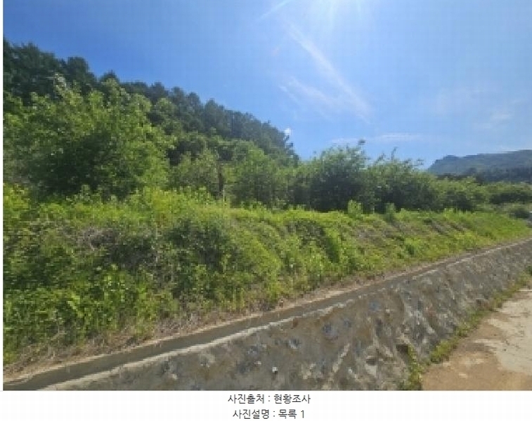 2025타경5317 충청북도 단양군 대강면 신구리 62-1 농지 경매 이미지