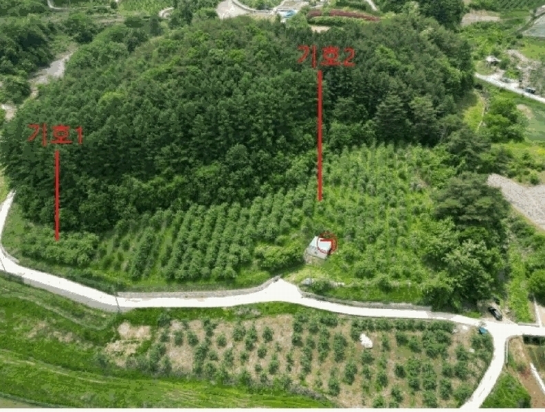 2025타경5317 충청북도 단양군 대강면 신구리 62-1 농지 경매 이미지