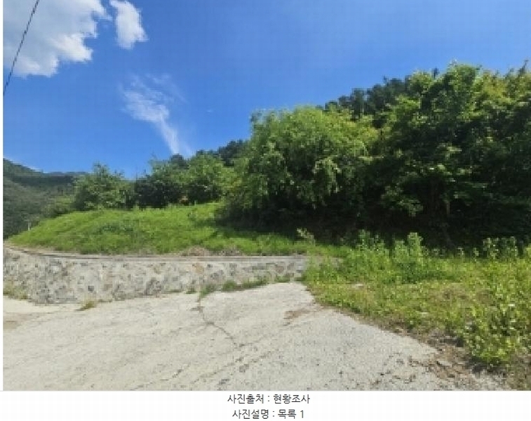 2025타경5317 충청북도 단양군 대강면 신구리 62-1 농지 경매 이미지