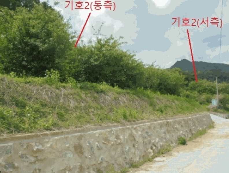 2025타경5317 충청북도 단양군 대강면 신구리 62-1 농지 경매 이미지