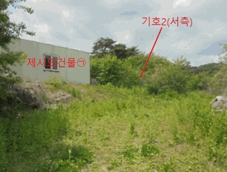 2025타경5317 충청북도 단양군 대강면 신구리 62-1 농지 경매 이미지