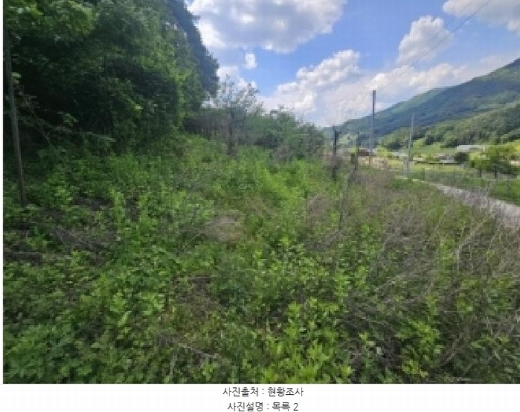 2025타경5317 충청북도 단양군 대강면 신구리 62-1 농지 경매 이미지