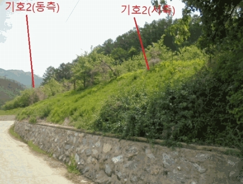 2025타경5317 충청북도 단양군 대강면 신구리 62-1 농지 경매 이미지