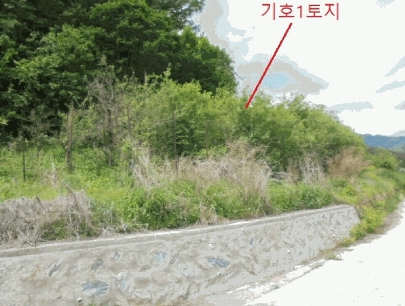 2025타경5317 충청북도 단양군 대강면 신구리 62-1 농지 경매 이미지