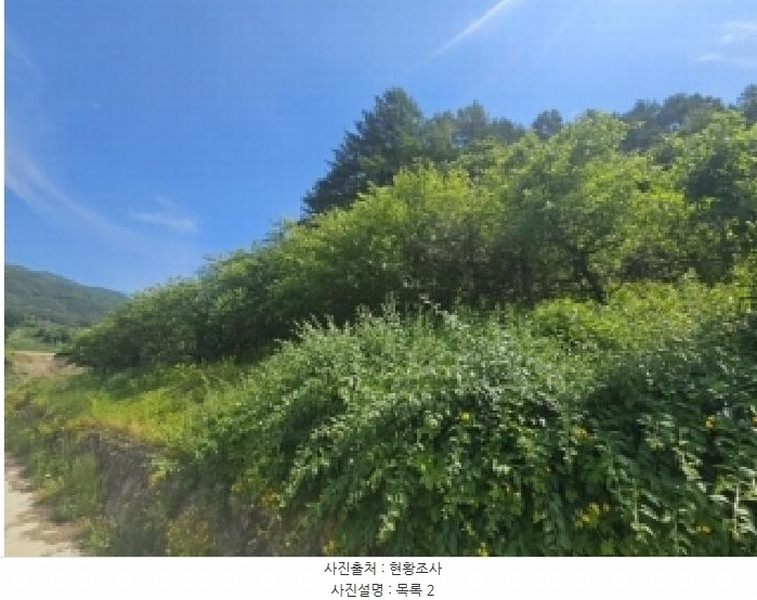 2025타경5317 충청북도 단양군 대강면 신구리 62-1 농지 경매 이미지