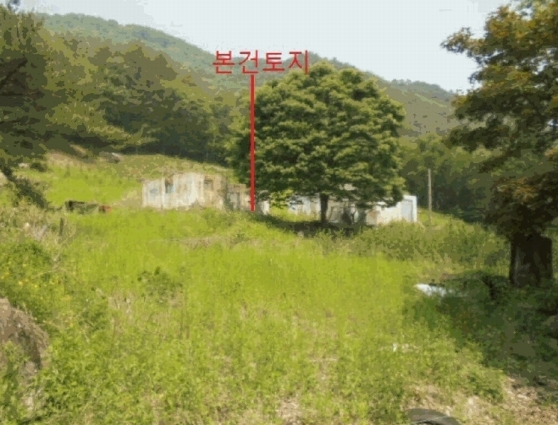 2025타경5323 충청북도 단양군 단성면 가산리 749-9 대지 경매 이미지