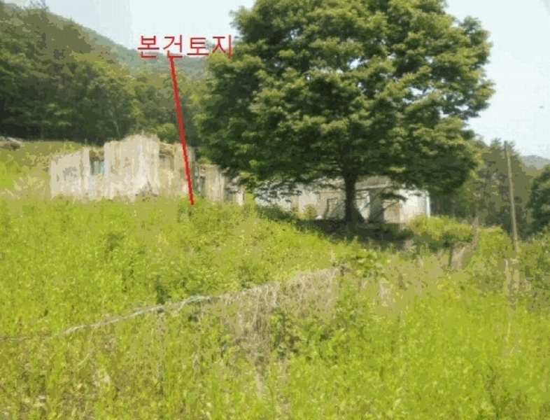 2025타경5323 충청북도 단양군 단성면 가산리 749-9 대지 경매 이미지