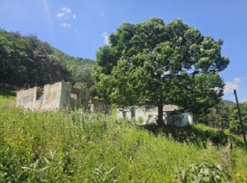 2025타경5323 충청북도 단양군 단성면 가산리 749-9 대지 경매 이미지