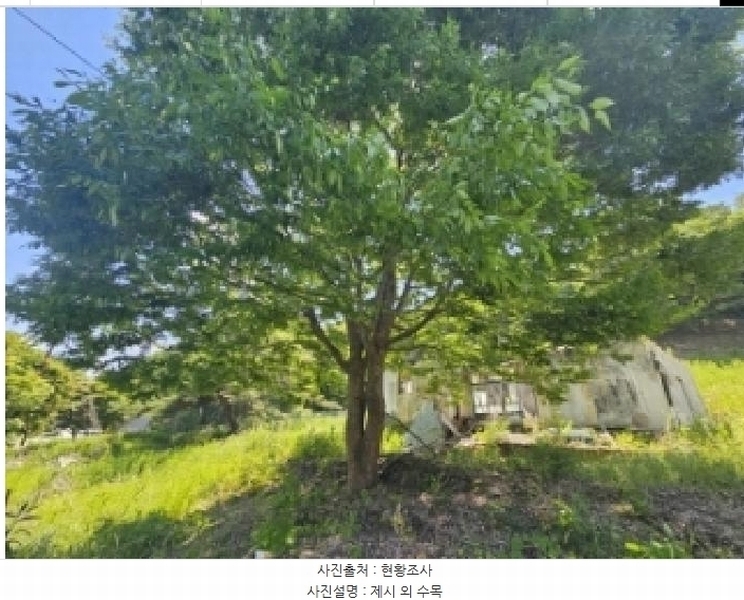 2025타경5323 충청북도 단양군 단성면 가산리 749-9 대지 경매 이미지