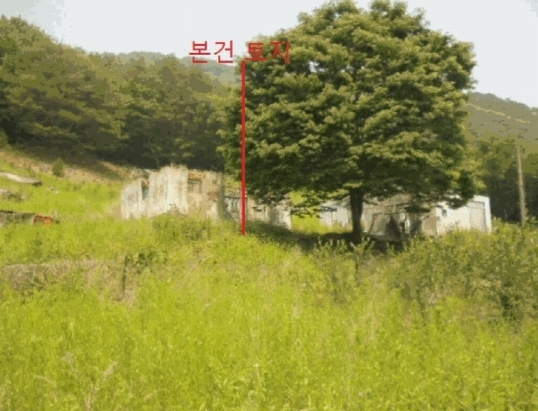 2025타경5323 충청북도 단양군 단성면 가산리 749-9 대지 경매 이미지