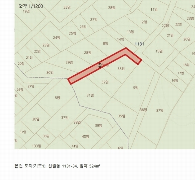 2025타경5325 충청북도 제천시 신월동 1131-34 임야 경매 이미지