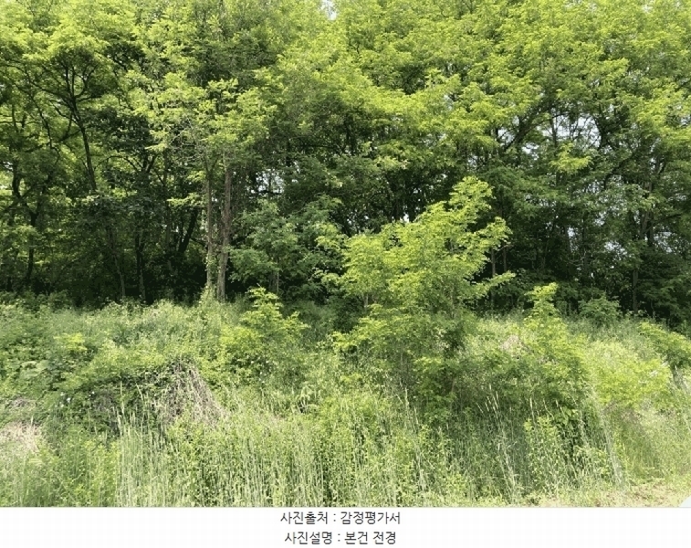 2025타경5327 충청북도 제천시 흑석동 156-10 임야 경매 이미지
