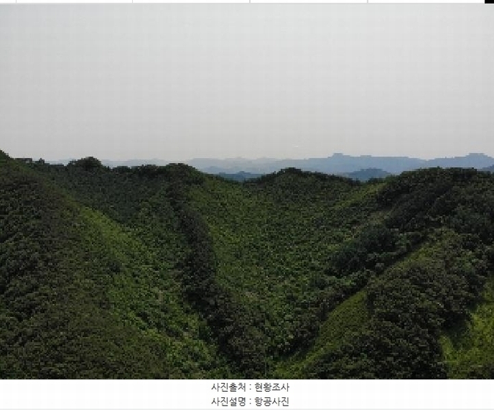 2025타경5331 충청북도 단양군 영춘면 만종리 산101 임야 경매 이미지