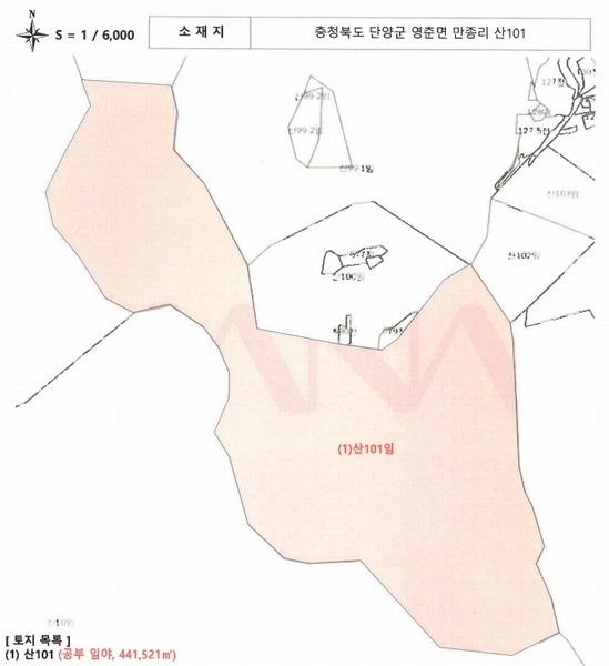 2025타경5331 충청북도 단양군 영춘면 만종리 산101 임야 경매 이미지