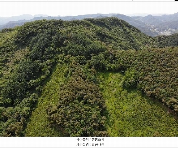 2025타경5331 충청북도 단양군 영춘면 만종리 산101 임야 경매 이미지