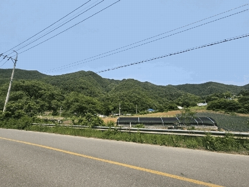 2025타경5331 충청북도 단양군 영춘면 만종리 산101 임야 경매 이미지