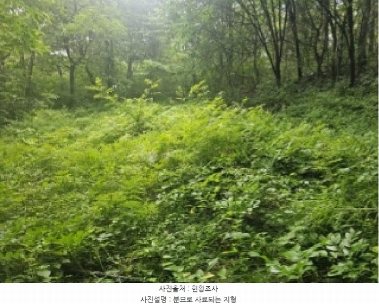 2025타경5337 충청북도 단양군 단양읍 도담리 산5-17 임야 경매 이미지