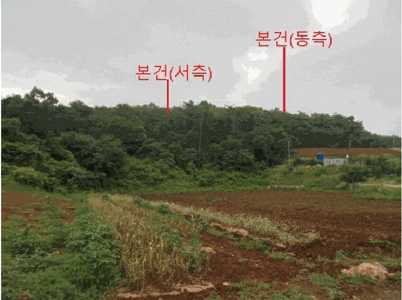 2025타경5337 충청북도 단양군 단양읍 도담리 산5-17 임야 경매 이미지