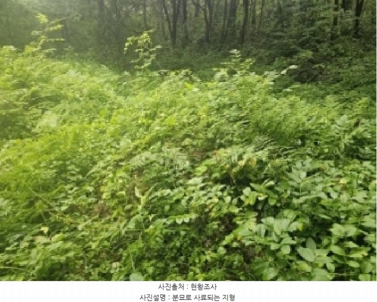 2025타경5337 충청북도 단양군 단양읍 도담리 산5-17 임야 경매 이미지