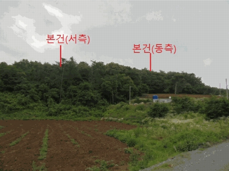 2025타경5337 충청북도 단양군 단양읍 도담리 산5-17 임야 경매 이미지