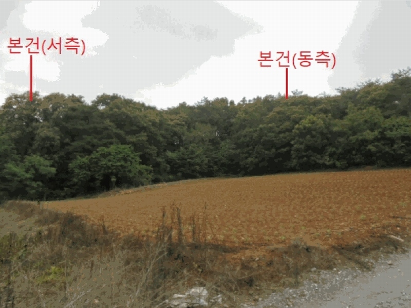 2025타경5337 충청북도 단양군 단양읍 도담리 산5-17 임야 경매 이미지
