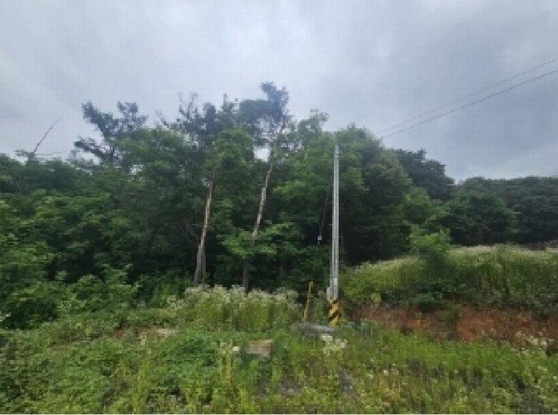 2025타경5337 충청북도 단양군 단양읍 도담리 산5-17 임야 경매 이미지