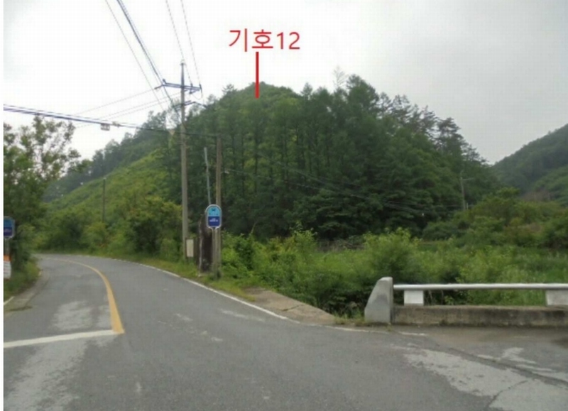 2025타경5339 충청북도 제천시 송학면 오미리 256-2 임야 경매 이미지