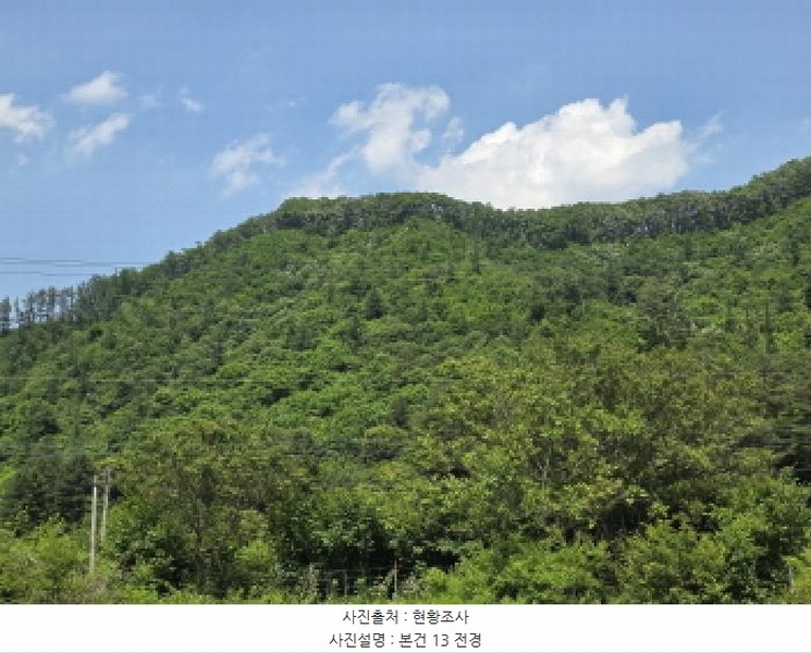 2025타경5339 충청북도 제천시 송학면 오미리 256-2 임야 경매 이미지